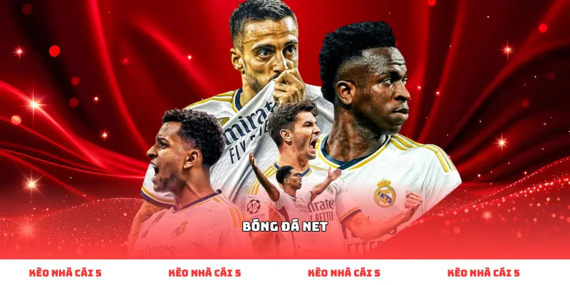 bóng đá net