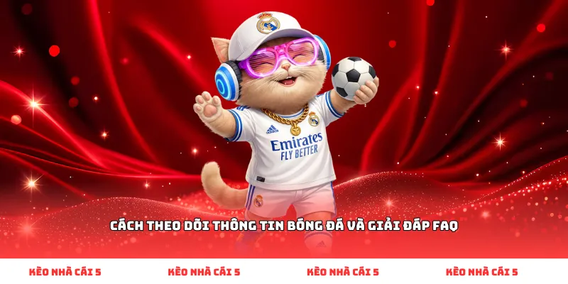 Cách theo dõi thông tin bóng đá và giải đáp FAQ