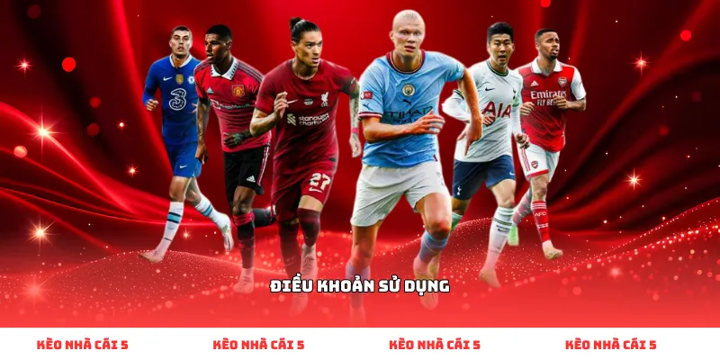 Điều khoản sử dụng