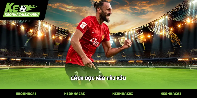 Hướng dẫn cách đọc kèo tài xỉu bóng đá chi tiết nhất