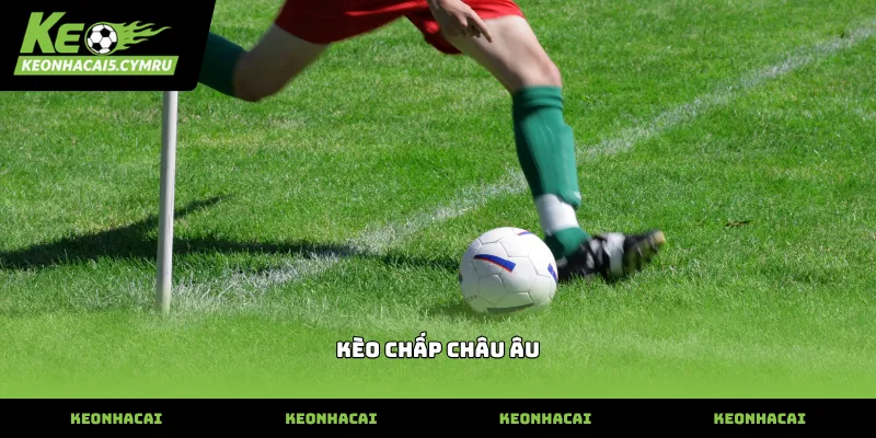 Cách đọc bảng tỷ lệ kèo chấp châu âu cơ bản nhất
