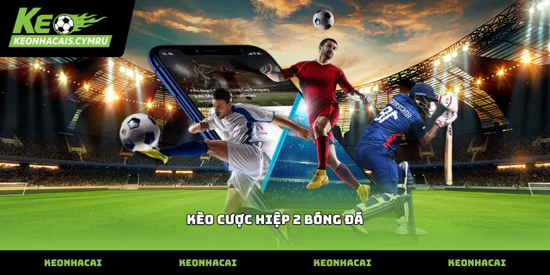 Theo dõi biến động kèo cược hiệp 2 bóng đá trực tuyến