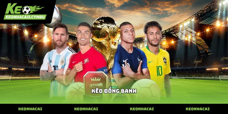 Xác nhận thông tin đặt cược kèo đồng banh chính xác