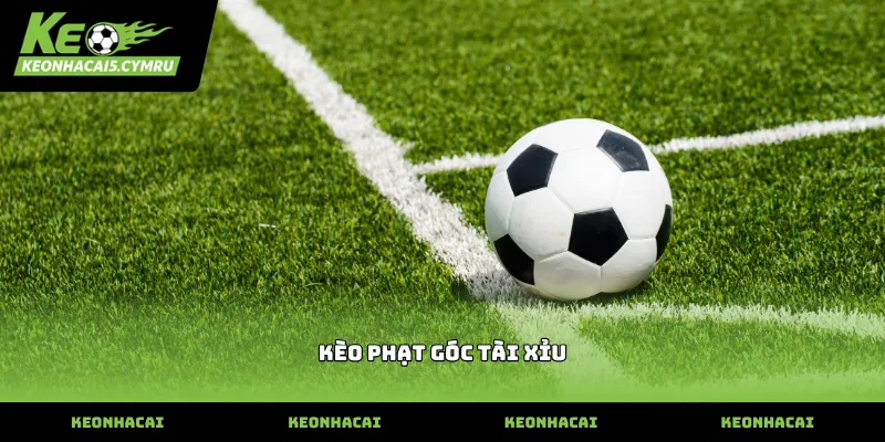 Tìm hiểu thực tế về kèo phạt góc tài xỉu