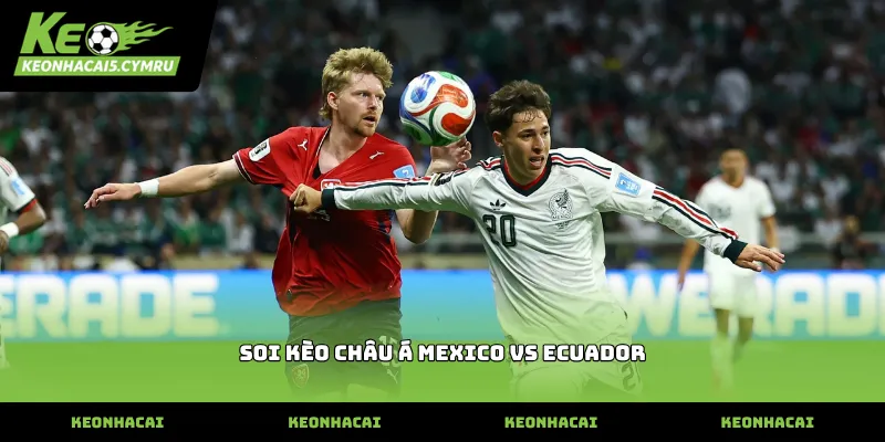 Kinh nghiệm soi kèo châu á Mexico vs Ecuador chính xác nhất