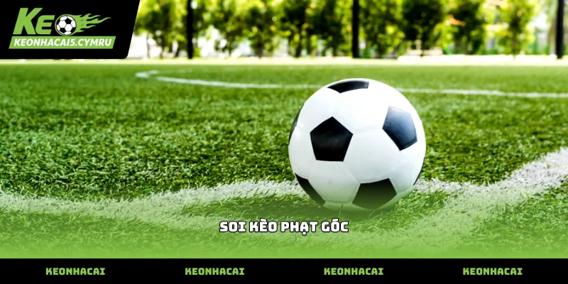 Phương pháp soi kèo phạt góc dựa trên đội hình thi đấu