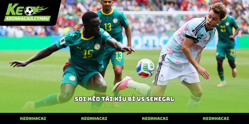 Chiến thuật soi kèo tài xỉu bỉ vs senegal an toàn