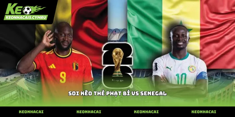 Kinh nghiệm soi kèo thẻ phạt bỉ vs senegal từ lối chơi