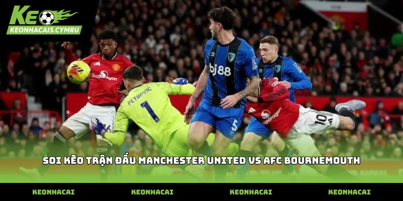 Thông tin soi kèo trận đấu manchester united vs afc bournemouth chi tiết