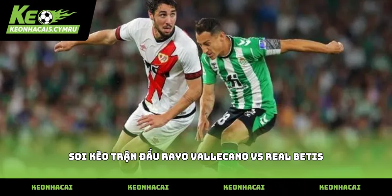 Phân tích tỷ lệ soi kèo trận đấu rayo vallecano vs real betis thực tế